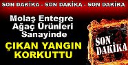 Molaş Entegre'de YANGIN KORKUTTU