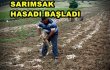 SARIMSAK HASAD ZAMANI BAŞLADI...!!