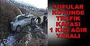 Sofular Köyünde Trafik Kazası