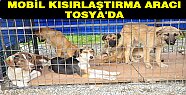 Sokak Köpeklerini Kısırlaştırma Aracı İlçemizde
