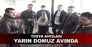 Tosya Avcıları Domuz Avında