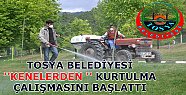 Tosya Belediyesi KENELERİ Temizliyor
