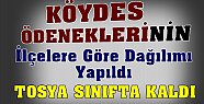 Tosya Bütçede Sınıfta Kaldı