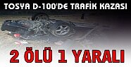 Tosya D-100'de Trafik Kazasında 2 Kişi ÖLDÜ
