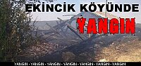 Tosya Ekincik Köyündeki Samanlık Yangını Korkuttu