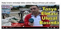 TOSYA ELMASININ 40 FAYDASI
