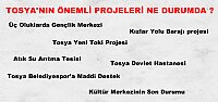 Tosya Heyeti Başbakan Yardımcıları ile görüştü