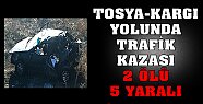 Tosya - Kargı Yolunda Trafik Kazası