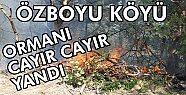 Tosya Özboyu Köyünde Orman Yangını