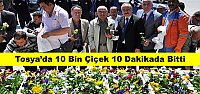 Tosya’da 10 Bin Çiçek 10 Dakikada Bitti