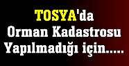 Tosya'da 2B arazileri ne olacak ?