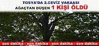 TOSYA’DA 2.CEVİZ VAKAASI AĞAÇTAN DÜŞEN 1 KİŞİ ÖLDÜ