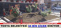 Tosya’da 34 Bin Çiçek Dikiliyor