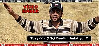 TOSYA'DA ARPA,BUĞDAY HASADI BAŞLADI