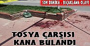 Tosya'da Bıçakla Yaralama Olayı