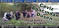 TOSYA’DA CEVİZ AĞACINDAN DÜŞEN YAŞLI ADAM ÖLDÜ