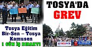 TOSYA'DA GREV