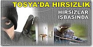 Tosya’da Hırsızlık…