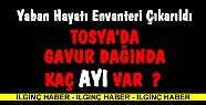 TOSYA'DA KAÇ AYI VAR ?