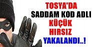 Tosya'da Küçük Hırsız '' SADDAM '' Yakalandı