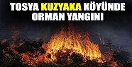 Tosya'da Kuzyaka Köyünde Yangın