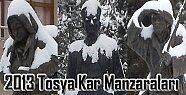 Tosya'dan 2013 Kar Manzaraları