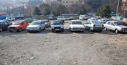 Tosya’ya yeni yeşil alan
