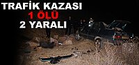 Trafik Kazası 1 Ölü 2 Yaralı