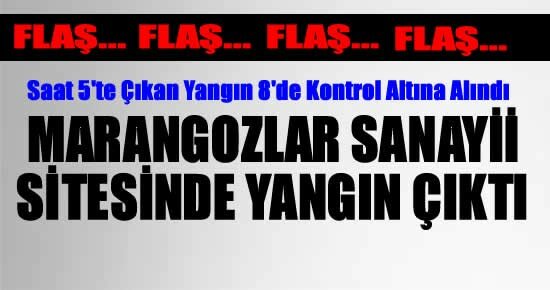 Tosya Marangozlar Sanayi Sitesinde 6 Dükkan Yandı