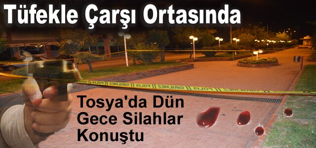 Tosya'da Gece Silahlar Konuştu (VİDEO HABER )