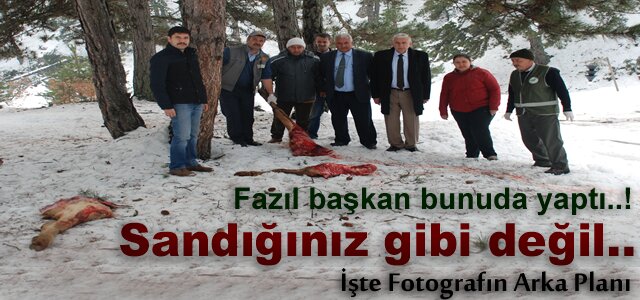 Tosya'da Yaban Hayatı Koruma Çalışmaları Devam Ediyor