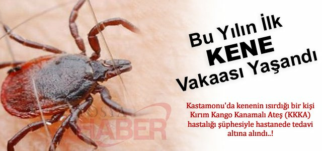 YILIN İLK KENE VAKAASI