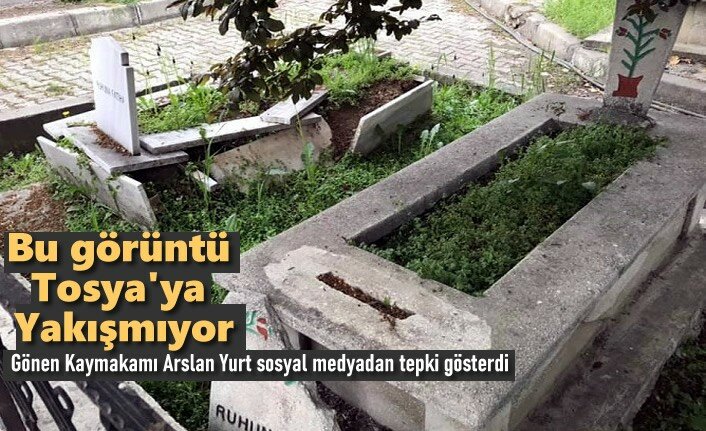 Bu Görüntü Tosya'ya Yakışmıyor