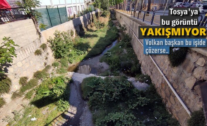 BAŞKAN VOLKAN KAVAKLIGİL BU PROJEYİDE HAYATA GEÇİRİRSE