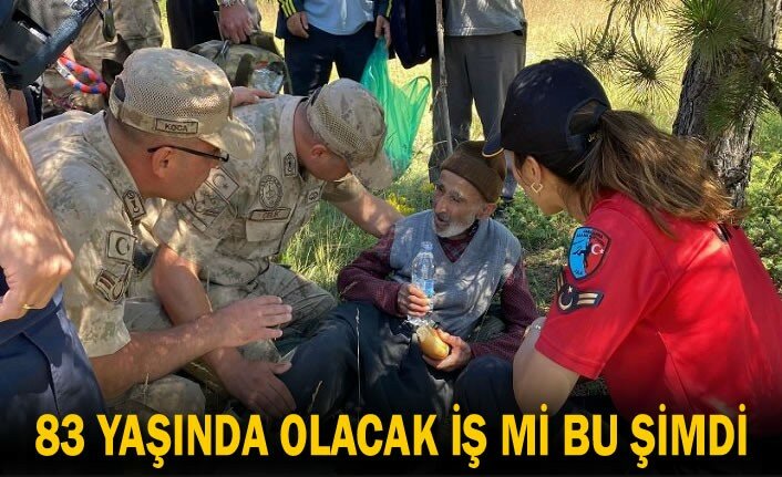 TOSYA'DA 83 YAŞINDA YAŞLI ADAM ORMANDA KAYBOLDU