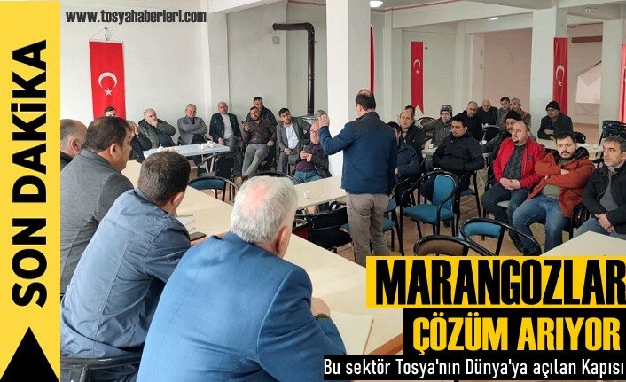Tosya Marangozlar Odası Esnafın Sorunlarına Çözüm Arıyor