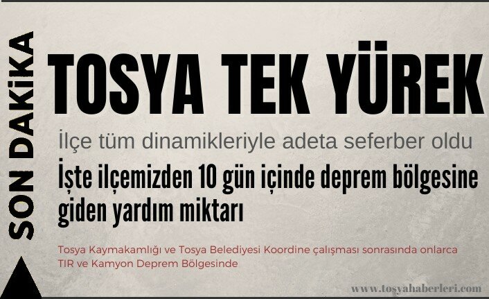 TOSYA TEK YÜREK - İŞTE DEPREM BÖLGESİNE GİDEN YARDIM MİKTARI