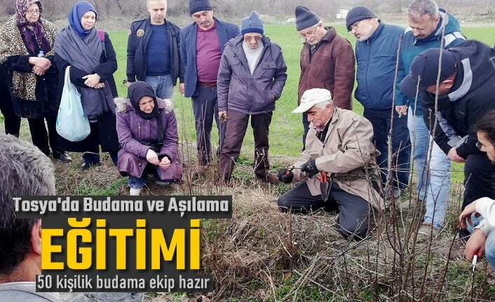 TOSYA'DA 50 KİŞİ BUDAMA KURSUNA GİTTİ