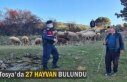TOSYA'DA 27 HAYVAN BULUNDU