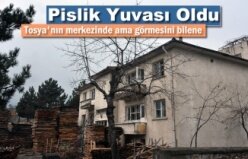 Tosya Şehir Merkezinde Pislik Yuvası Oldu