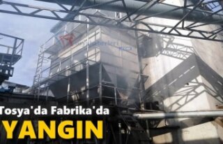 TOSYA'DA FABRİKADA YANGIN