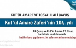 Tosya'da Kut'ül Amare Zaferi ve Ali Çavuşu...