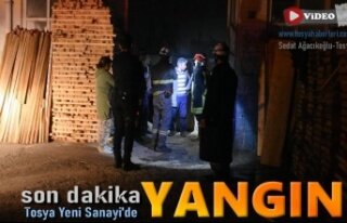 Tosya Yeni Sanayi Sitesinde Yangın
