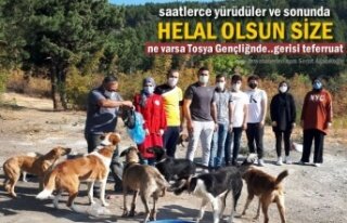 Tosya Gençlik Merkezinden Sosyal Sorumluluk Projesi