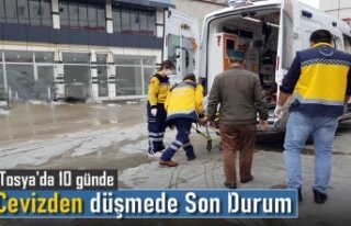 TOSYA'DA CEVİZ AĞACINDAN DÜŞMEDE ÖNEMLİ...