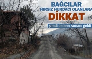 TOSYA'DA BAĞ SAHİPLERİNİ UYARIYORUZ !