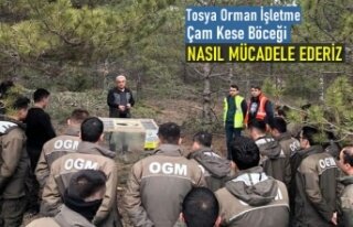 TOSYA ORMAN İŞLETMEDE ÇAM KESE BÖCEĞİ EĞİTİMİ