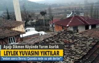 Tosya'da Yarım Asırlık Leylek Yuvasını Yıktılar