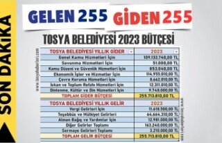 TOSYA BELEDİYESİ DETAYLI 2023 BÜTÇESİ