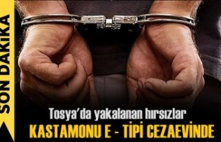 Tosya'da Yakalanan Hırsızlar Kastamonu Cezaevinde